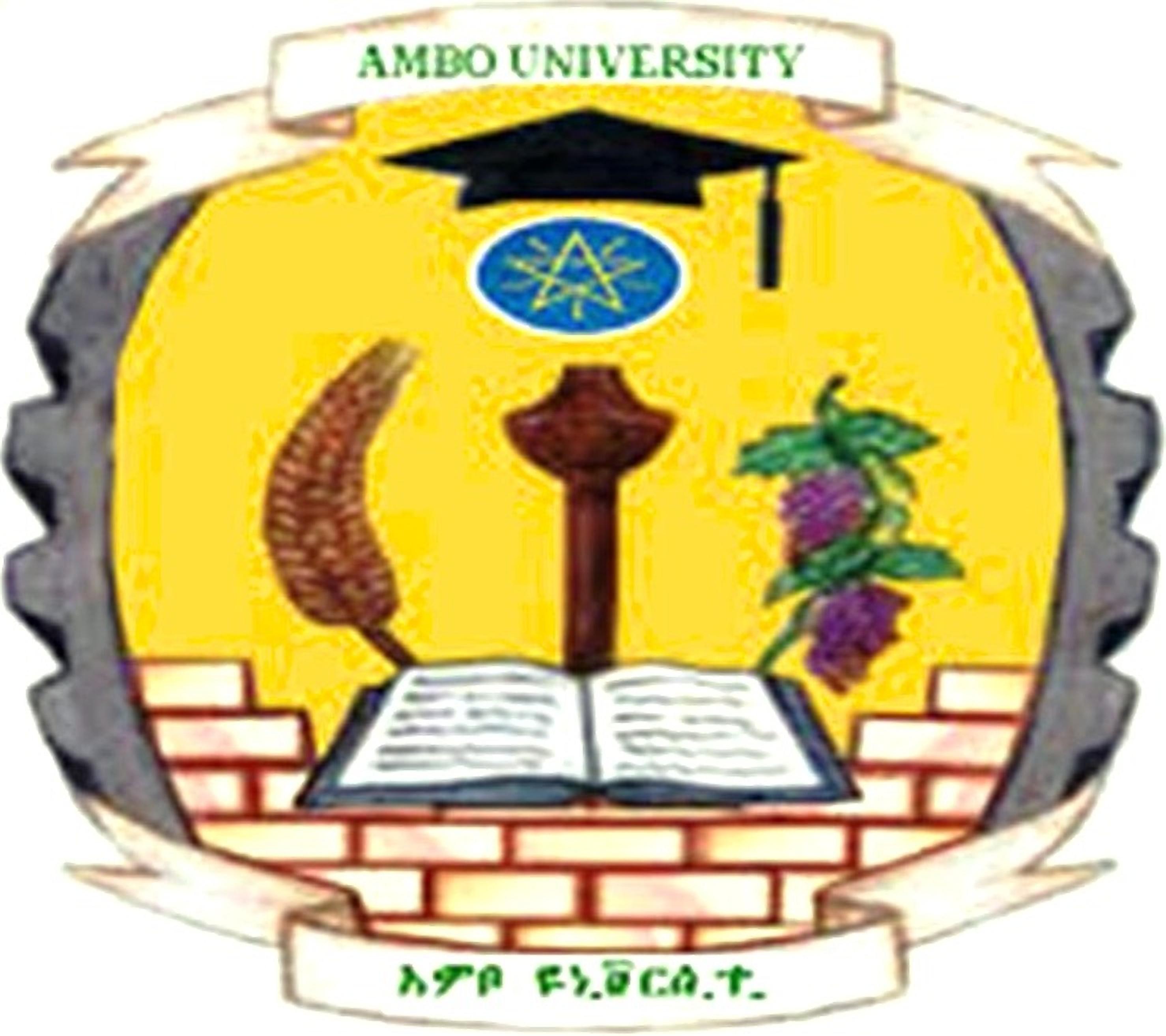 AMBO UNIVERSITY