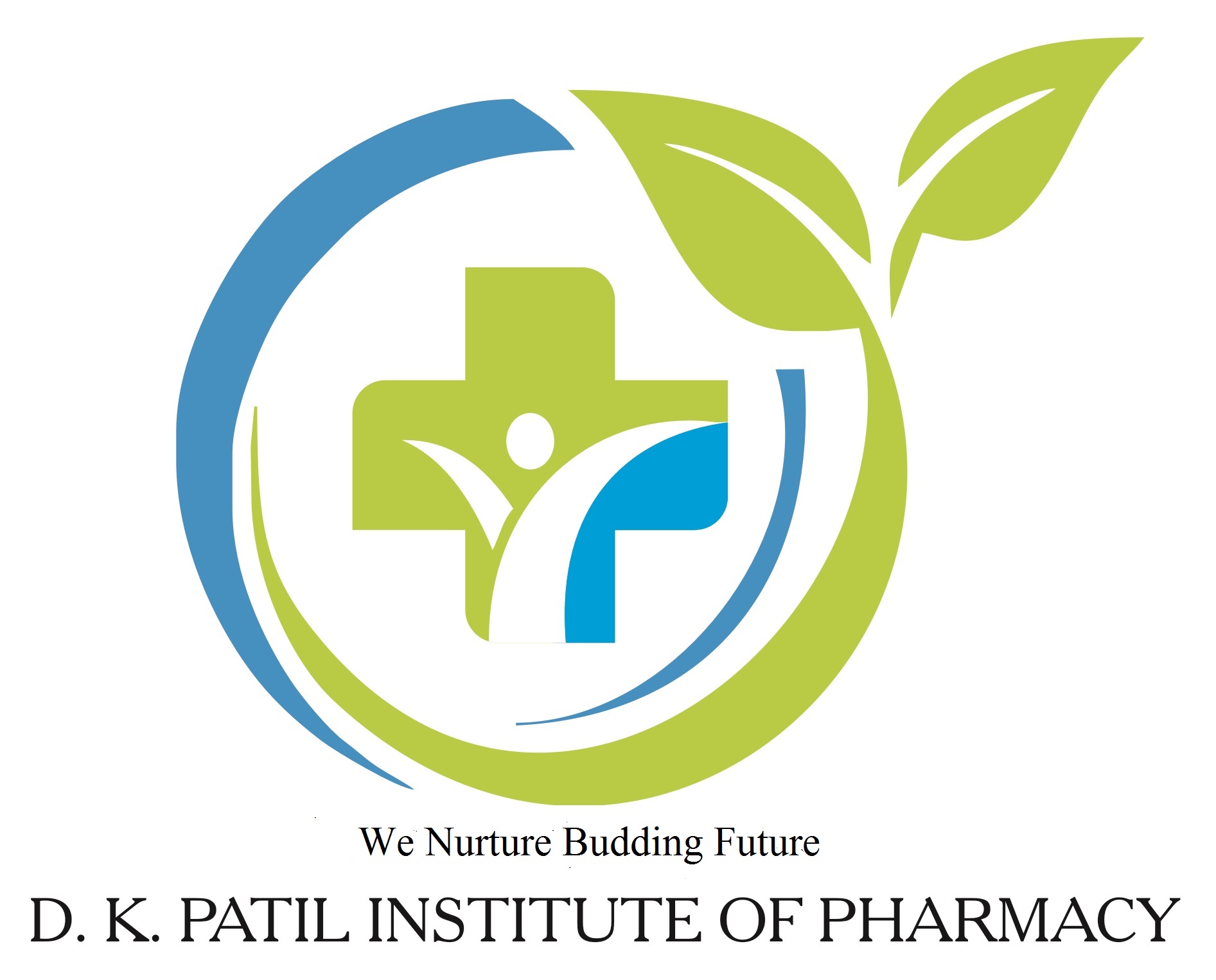 D K PATIL INSTITUTE OF PHARMACY