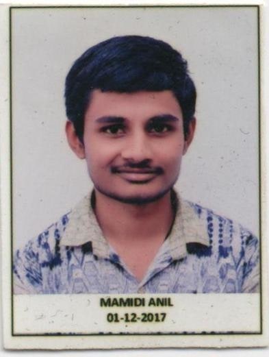 MAMIDI ANIL