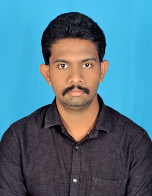 PARTHASARATHI P